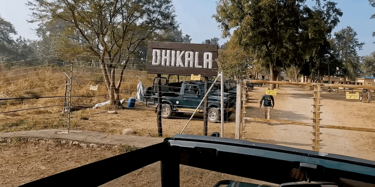 Dhikala Forest Zone Booking in Jim Corbett National Park