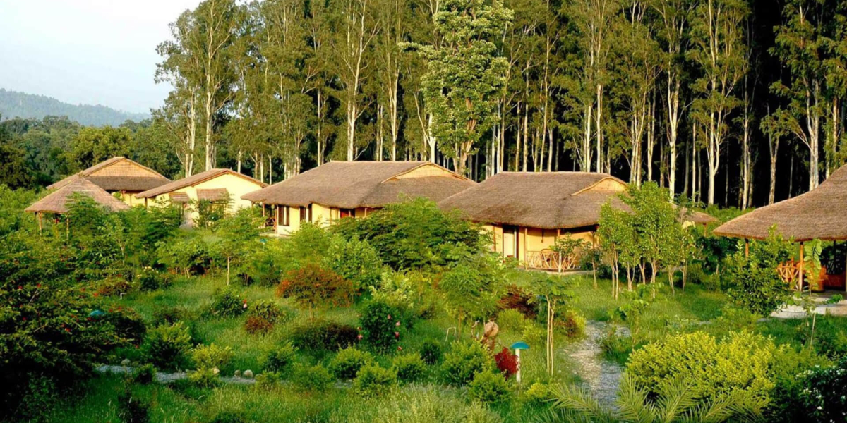 Forest Lodge In Jim Corbett National Park