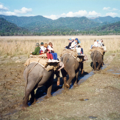 Elephant Safari in Jim Corbett National Park